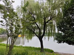 -美兰湖景区