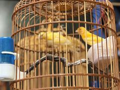 景观位-杨记小炒老店