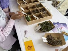 -中国农业博物馆