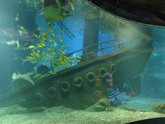 -福州罗源湾海洋世界旅游区