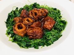 草头圈子-新南华大酒店(广中店)