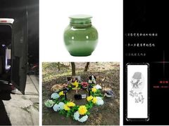 -美联众合动物医院(·中兽医·疑难杂症·严家桥分院)