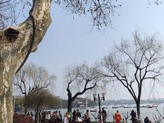 -楼外楼(西湖景区孤山路店)