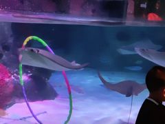 -沈阳海洋探索中心