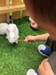 -萌宠亲子动物乐园(槐房万达店)