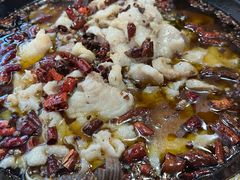 -金三可市井水煮鱼(金碧园店)