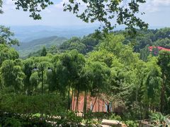 -莫干山风景区