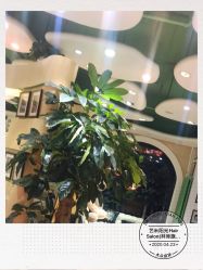 -艺米阳光Hair Salon