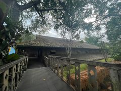 -基诺山寨.版纳民族特色菜