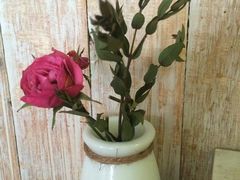 -美丽心情蛋糕(江苏路店)