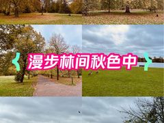 -海德公园