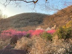 -南京市江宁方山
