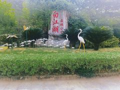 -广州白江湖森林公园