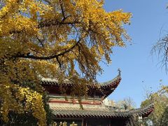 -长春观