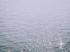 -东钱湖旅游度假区