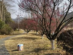 -黄陂区野村谷景区