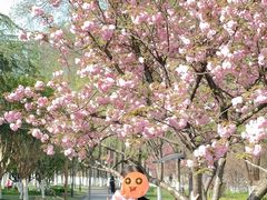 -范蠡湖公园