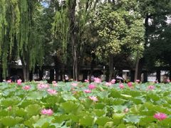 -四川大学(望江校区)