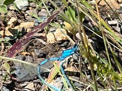 -呼和诺尔旅游景区