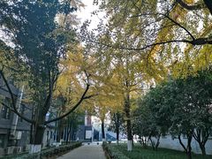 -四川大学(华西校区)