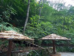 -本溪汤沟绿石谷森林公园