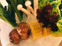 -四季火锅酒家(新濠影汇店)