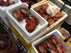 -莲花公园煎蟹(总店)