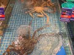 -黄龙海鲜大排档(杭州总店)