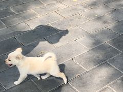 -双新垂钓园