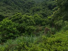 -马峦山郊野公园