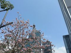 -平安金融中心云际观光层