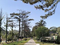 -南泥湾风景区