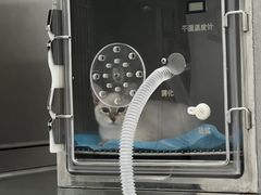 -荔康动物医院(康王北路店)