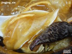海参鱼肚鱼翅-添發碗仔翅美食