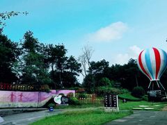 -铁山坪森林公园