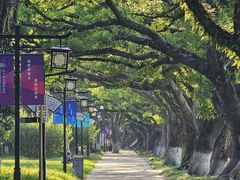 -江心屿景区