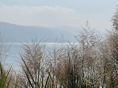 -昆明柏联SPA温泉