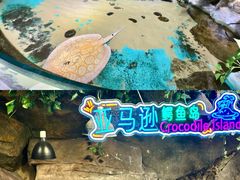-重庆欢乐海底世界