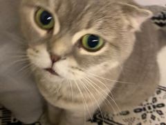 -瑞派名望24h动物医院异宠专科·猫专科·骨科·重症监护分院