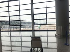 -上海浦东国际机场-T2航站楼