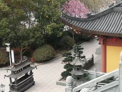 -上海东林寺(金山区)