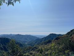 -大岭沟猕猴桃谷风景区