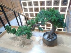 -霸王茶姬(南强街店)