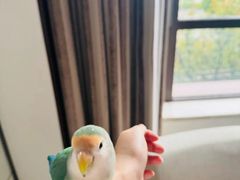 -红豆杉庄会议中心