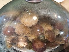 -港畔赶海蒸汽海鲜烧烤自助(仙螺岛店)