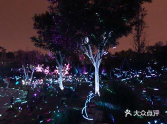 被安利了几次的国际光影展—夜游京城好去处 玉渊潭公园