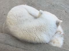 -杭州野生动物世界