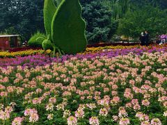 -石家庄市植物园