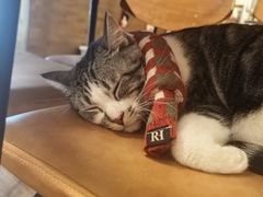 -echoes coffee回响咖啡(888街店)