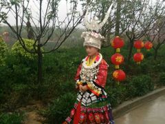 -天适樱花悠乐园